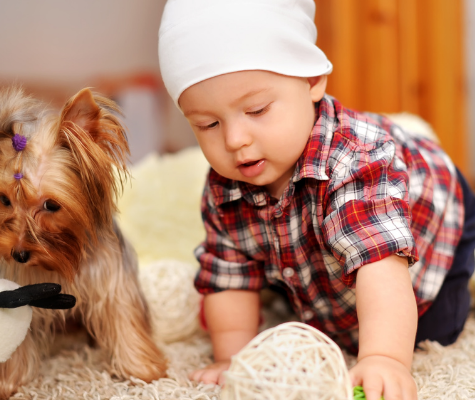 How to protect your kids and pets from electrical hazards